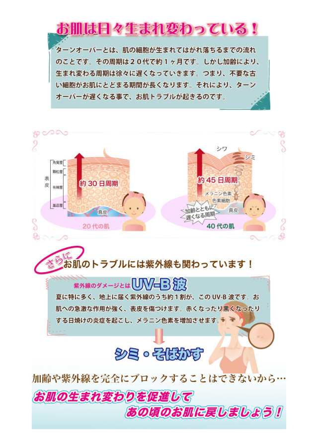 美容液　ラファエルキス　4本セット　ラファアイランド 美容液 ラファエルキス 4本セット ラファアイランド 【公式通販】